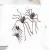 Import Factory Price Novelty Party Decoration Trick Or Treat Big Halloween Spider from China