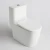 Import Factory s trap siphonic tornado flush  colored sanitary ware vietnam modern bathroom toilet bathroom mounted water closet from China