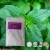 Import Factory supply competitive price menthol crystal mint for tobacco flavor from China