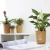 Import Fashion  painting flower pot office flower pot living room plastic pot from China