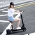 Import Folding 10inch  Electric Scooter 800W 1000W 48V Electric Bike Scooter With Dual Motors from China