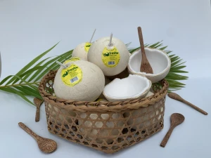Four Weeks Shell Life Ready to drink yellowish Young Coconut Fresh Convenient Coconut from Vietnam
