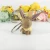 Free Shipping Keychain Pokemon Toys Bulbasaur Squirtle Action Figure Woman Bag Decoration