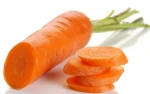Fresh carrot best quality hot sale