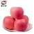 Import Fresh fruits red fuji apple in China with best price and high quality from China