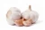 Import Fresh Garlic from India
