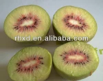 fresh kiwi fruit prices,fresh kiwi red kiwi exporter