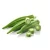 Import fresh Okra Lady Finger,okra extract ,dried okra powder from South Africa