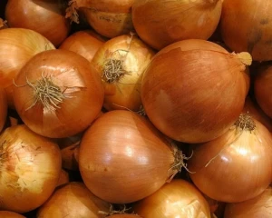 Fresh Red Onions For Sale, Yellow Onion Fresh, Available for Sale