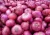Import Fresh Red Onions For Sell from South Africa