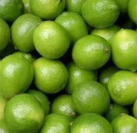 Fresh Seedless Lime