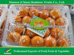 Fresh sweet kinnow mandarin citrus fruit from China