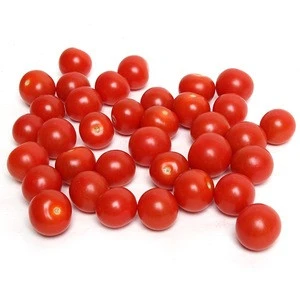 Fresh tomatoes /plum / cherry