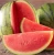 Import Fresh Water Melons for sale from Philippines