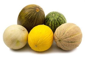 Fresh Melons, cantaloupe and honeydew 3 fruits sliced/dried