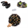 Frozen Mussels Whole, Best Quality Seafood Shellfish From Spain