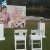 Import Garden Furniture Wedding Reception Chairs For Events And Wedding from China