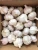 Import garlic 10kg descascadora garlic industrial from China
