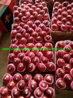 Good Quality FUJI Apple with Competive Price