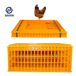Good Quality Plastic Poultry Quail Transportation Cage For Sale Chicken Transport Cage