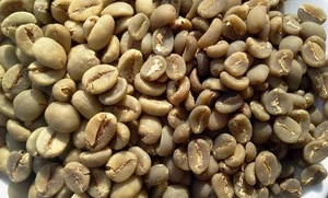 Green Arabica Coffee Bean