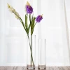 hand blown clear tall cylinder glass vase