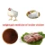 Import High efficiency growth promter for broiler chicken weight gain medicine from China