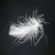 Import High quality lightweight bulk down materials 30% washed white duck feather white feather from China