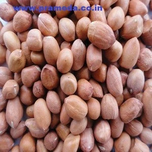 High Quality New Crop Grow Peanuts for Sale