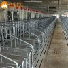 High quality Pregnant pig gestation crate in animal cage for sale