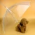 Import High Quality Umbrella Leash Pet Dog Umbrella from China