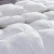 Import High Quality White Goose Down Comforter from China