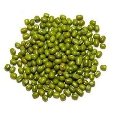 High Quality Wholesale  Green Mung Beans