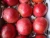 Import high Sweet Pomegranate crops from Egypt