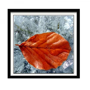 Home Decor Living Room Vivid Maple Leaf Photo Picture Digital Print Painting Wall Art