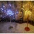 Import Home Garden Wedding indoor delicate Led starburst lights Christmas holiday lighting and decorative light from China