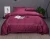 Import Home Hotel luxury High Quality 5 Star bed sheet bedding set cotton costom color Ruby bed set from China