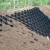 Import Honeycomb Plastic Driveway Paver Gravel Stabilizer Geocells Structure from China