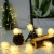 Import Hongshun Fairy Battery 20 LEDs 16ft Pinecone String Lights Christmas Halloween Party LED Light String Pine Nuts Decoration from China