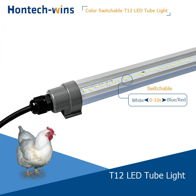 HONTECH IP67 T12 LED dimmable tube light poultry farming equipment