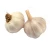 Import Hot Sale Chinese Solo Fresh Normal White Garlic from China