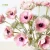 Import Hot Sale Pink-Green Color PU Real Touch Anemone for Wedding from China