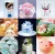 Import Hot seller edible pigment pen baking crocheted hand-painted confectionery turning candy Macaron black painting pen from China