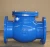Import Hot Selling Ductile Iron Cast Iron Flanged Swing Check Valve from China