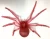 Import hot selling plastic fake Halloween Spider from China