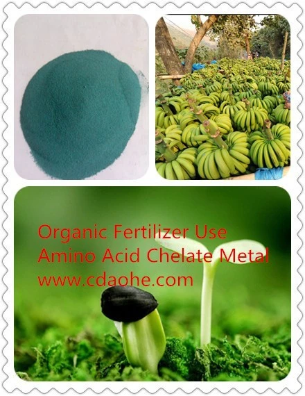 Hydroponic Nutrients Manufacture Amino Acid Chelate Copper Organic Fertilizer Plant