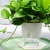 Import Hydroponics Plastic Flowerpots Automatic Watering Lazy Flower Pot from China