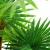 indoor faux plant biometric palm bonsai tree price