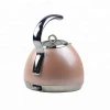 Instant Hot Water kettle induction water kettle kitchen appliance
