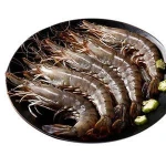 IQF Frozen fresh whole round Black Tiger Shrimps